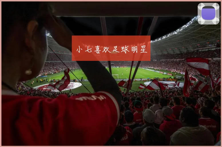 小七喜欢足球明星
