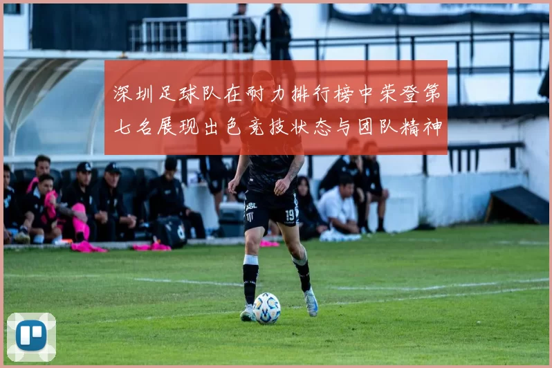 深圳足球队在耐力排行榜中荣登第七名展现出色竞技状态与团队精神