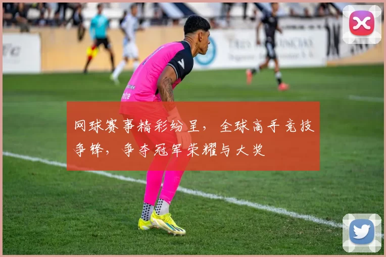 网球赛事精彩纷呈，全球高手竞技争锋，争夺冠军荣耀与大奖