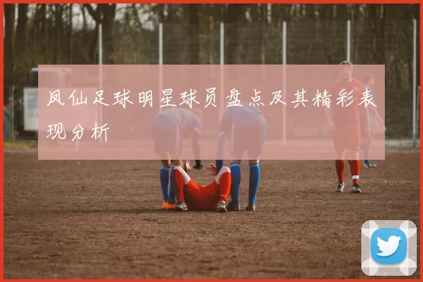 凤仙足球明星球员盘点及其精彩表现分析