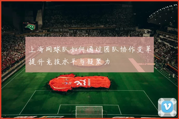 上海网球队如何通过团队协作变革提升竞技水平与凝聚力