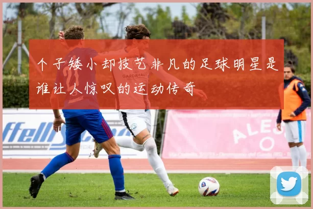 个子矮小却技艺非凡的足球明星是谁让人惊叹的运动传奇