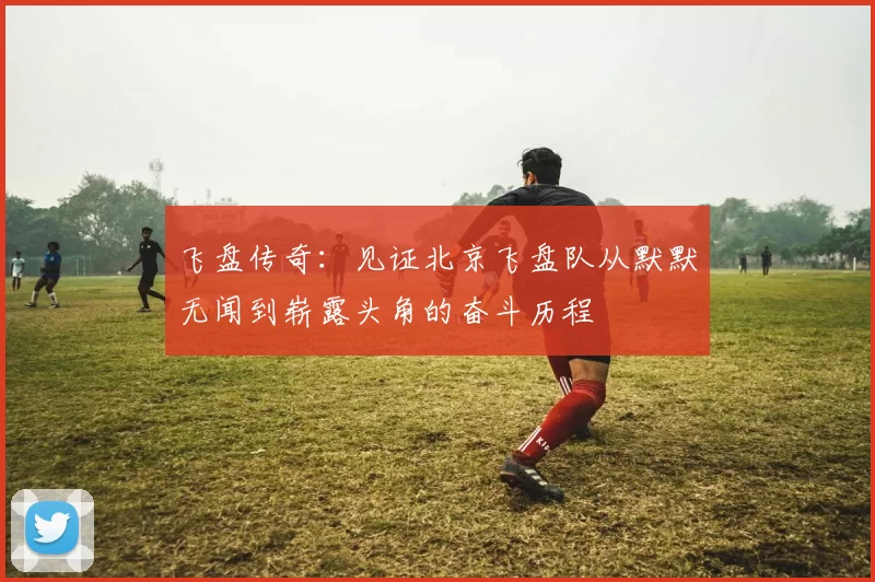 飞盘传奇：见证北京飞盘队从默默无闻到崭露头角的奋斗历程