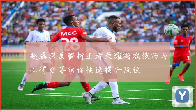 赵磊深度解析王者荣耀游戏技巧与心得分享助你快速提升段位