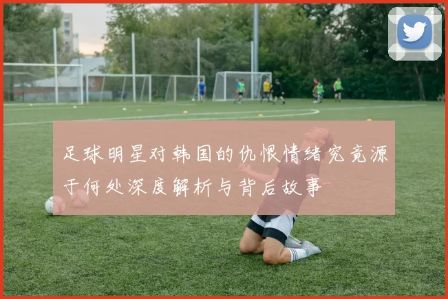 足球明星对韩国的仇恨情绪究竟源于何处深度解析与背后故事