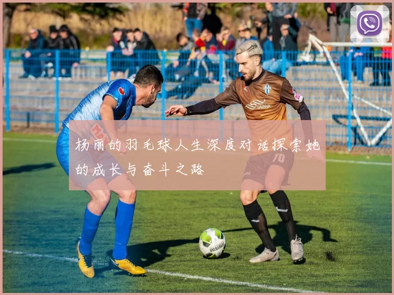 杨丽的羽毛球人生深度对话探索她的成长与奋斗之路