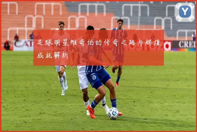 足球明星维奇伯的传奇之路与辉煌成就解析