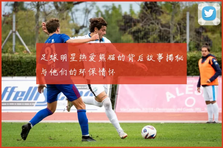 足球明星热爱熊猫的背后故事揭秘与他们的环保情怀