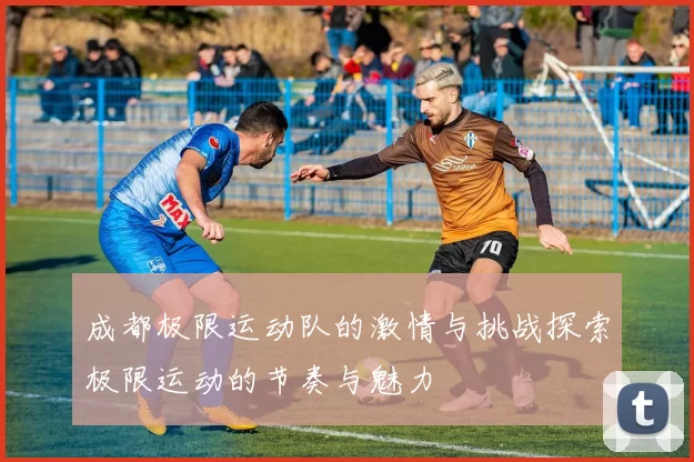 成都极限运动队的激情与挑战探索极限运动的节奏与魅力