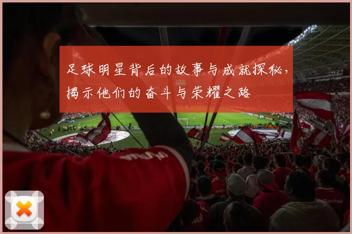 足球明星背后的故事与成就探秘，揭示他们的奋斗与荣耀之路