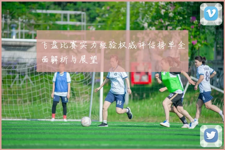 飞盘比赛实力经验权威评估榜单全面解析与展望