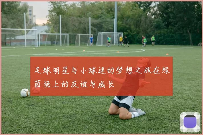 足球明星与小球迷的梦想之旅在绿茵场上的友谊与成长