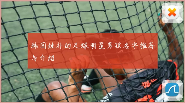 韩国姓朴的足球明星男孩名字推荐与介绍