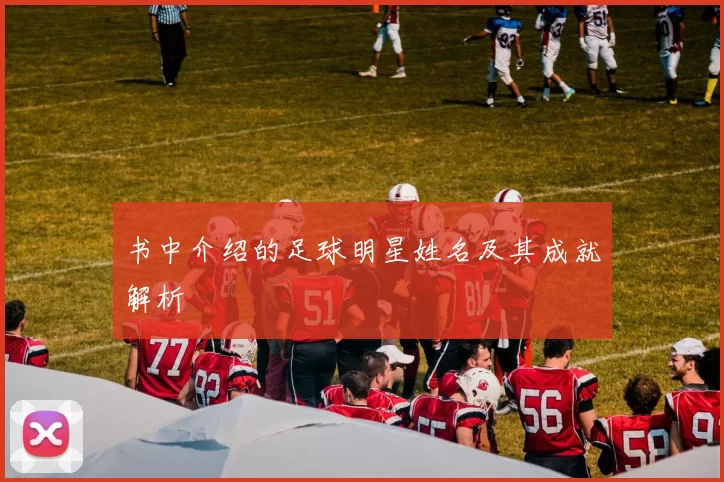 书中介绍的足球明星姓名及其成就解析