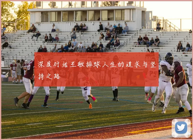 深度对话王敏排球人生的追求与坚持之路
