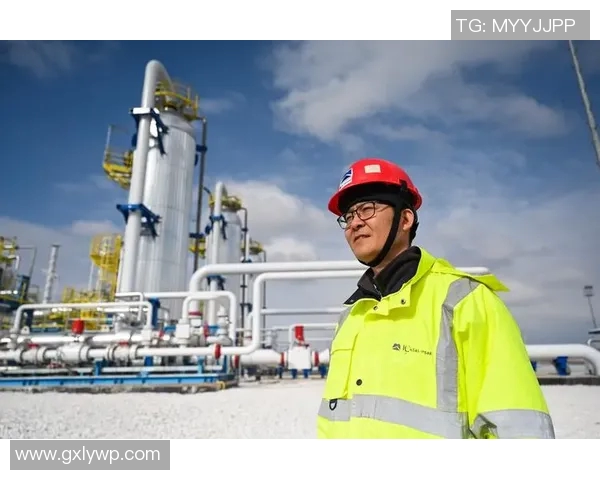 刘磊专访揭秘网球成功秘诀与职业生涯背后的故事