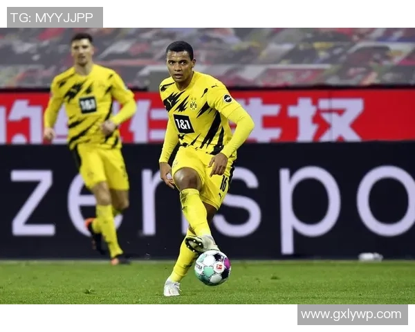 以勒沃库森为中心探寻德国足球崛起之路与未来发展前景分析