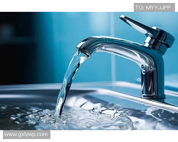 创新净水材料研发与应用：提升水质保障与环境可持续发展研究